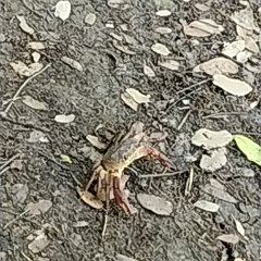 IMG_20190511_094018