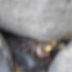 IMG_7971
