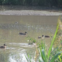 IMG_8194