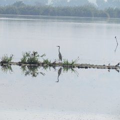 IMG_8201