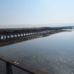 IMG_8203