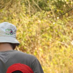 IMG_8210
