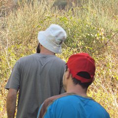 IMG_8211