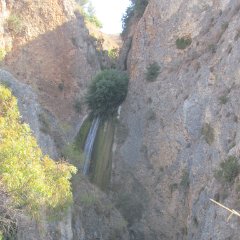 IMG_8215