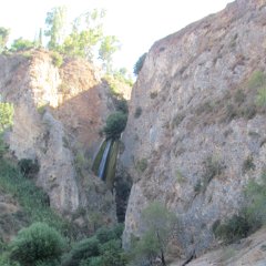 IMG_8216
