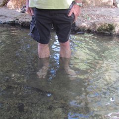 IMG_8221