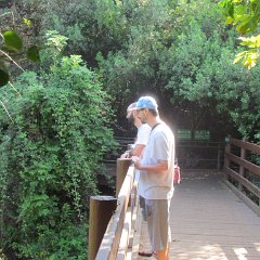 IMG_8231