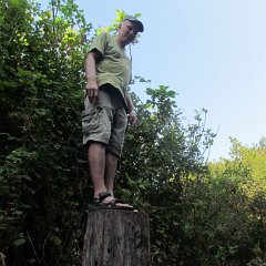 IMG_8247