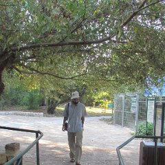 IMG_8307