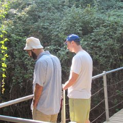 IMG_8311