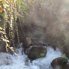 IMG_8313