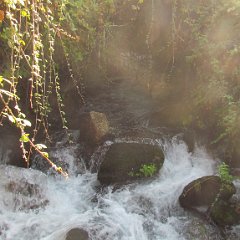 IMG_8314