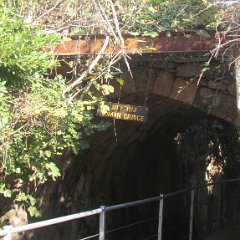 IMG_8315
