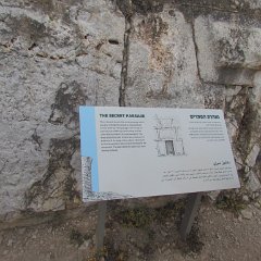 IMG_8098