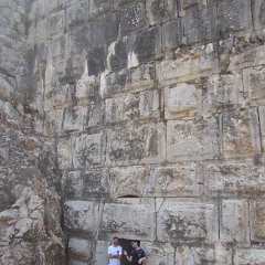 IMG_8100