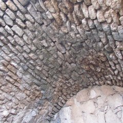 IMG_8113
