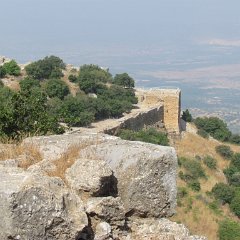 IMG_8133