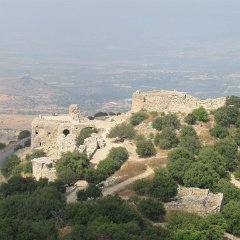 IMG_8137
