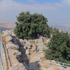 IMG_8138