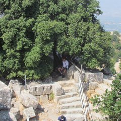 IMG_8139