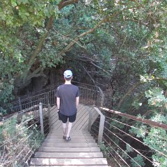 IMG_8067