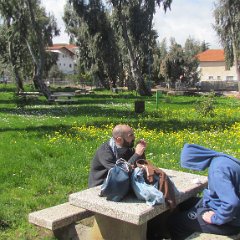 IMG_8546
