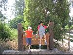 Thumbnail Image, Click to Enlarge thumb_IMG_0982.JPG