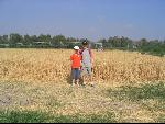 Thumbnail Image, Click to Enlarge thumb_IMG_0993.JPG