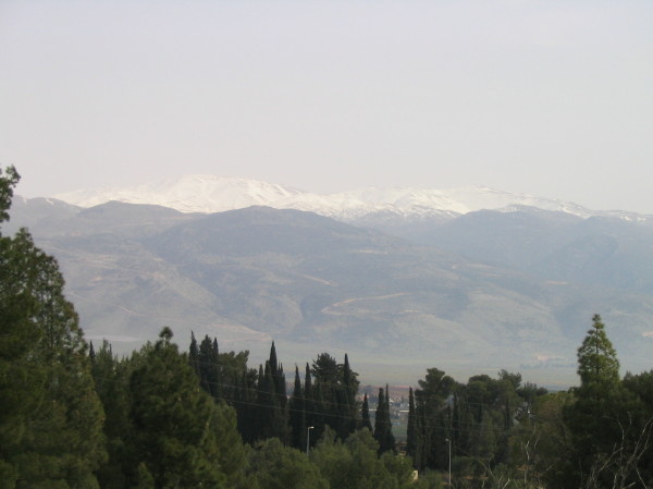 IMG_0123.JPG