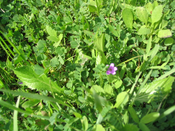 IMG_0125.JPG