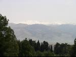 Thumbnail Image, Click to Enlarge thumb_IMG_0121.JPG