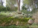 Thumbnail Image, Click to Enlarge thumb_IMG_0140.JPG