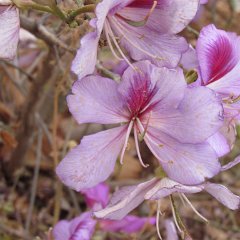 IMG_1267