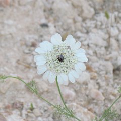 IMG_1290