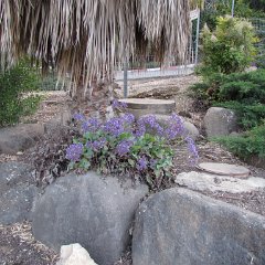 IMG_1299