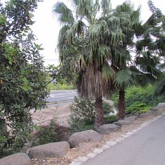 IMG_1301