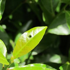 IMG_1317