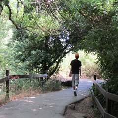 IMG_1318
