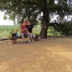 IMG_1334