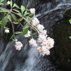 IMG_2932