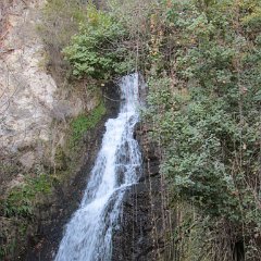 IMG_0892