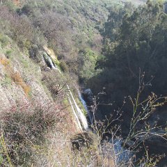 IMG_0899