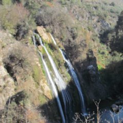 IMG_0900