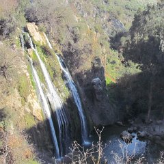 IMG_0901