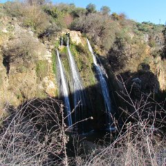 IMG_0902
