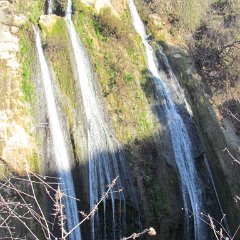 IMG_0903