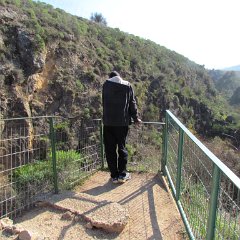 IMG_0906