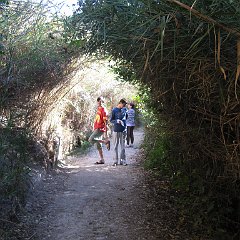 IMG_4395