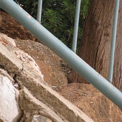 IMG_4321