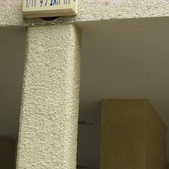 IMG_4329